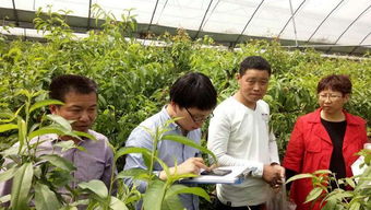 我县顺利完成省农业厅第二次农产品例行监测抽样工作