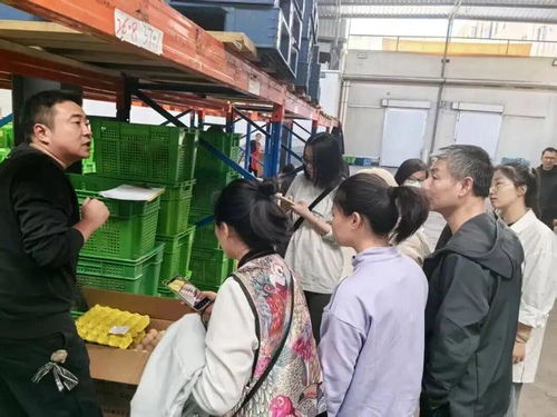 上海学生午餐虾仁炒蛋引食品安全风波，监管部门介入调查