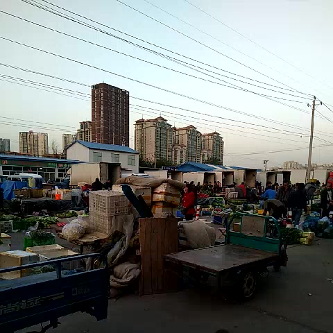 清晨的北京八里桥农产品批发市场 都市食用品的源头与脉搏