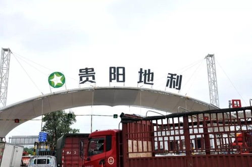 地利集团十家农批市场荣膺2018年度全国百强，彰显农产品流通行业标杆力量