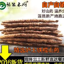 农产品批发市场中的山药产业链解析 从产地厂家到终端消费